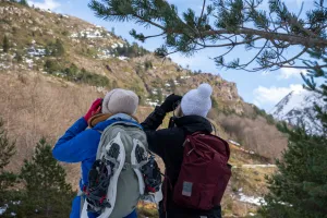 Randonnée sur les traces de la faune sauvage