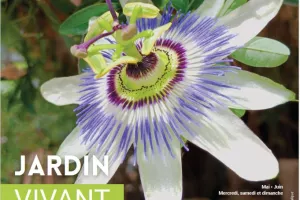 Visite du Jardin Val de Flore