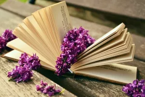 Lectures jeunesse et jeux