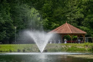 Fête d'été