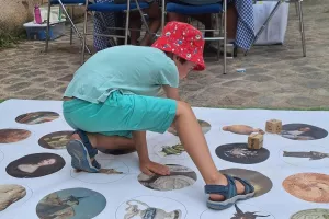 Flip au musée : Jeux en autonomie