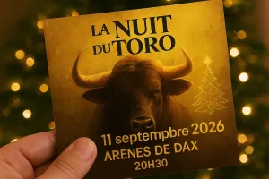Nuit du toro