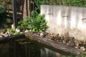 Visite du Jardin de L'Escalier