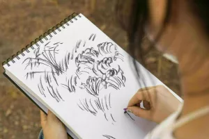 Balade-croquis accompagnée par une artiste à Thuré