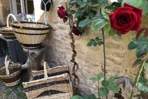 Savoir-faire au rendez-vous : osier la vie - atelier de vannerie