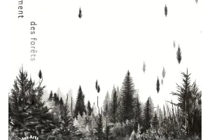 La Court des Arts : Exposition : Les bruissements des forêts de Camille Cathudal