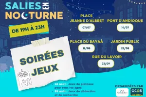 Jeux à Salies en nocturne
