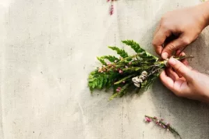 Atelier jardinage : Herbier - Récolter des plantes et les préparer au séchage
