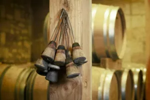 Journées Portes ouvertes aux châteaux de Castillon Côtes de Bordeaux