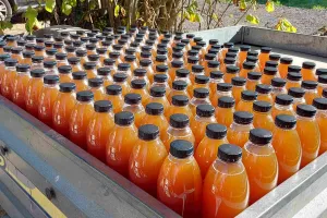 Fête du Cidre et de la Châtaigne