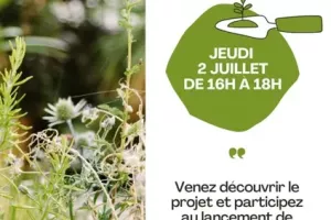 Création d'une forêt comestible à Mergieux