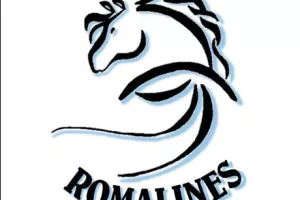 Concours d'attelage