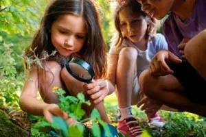 Domaine de Sédières : Devenez explorateur de la nature en forêt