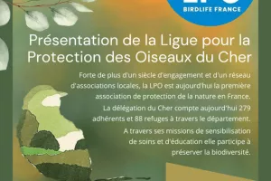 CARTE BLANCHE - Présentation de la Ligue pour la Protection des Oiseaux du Cher