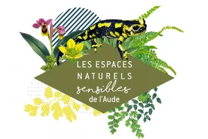 ENS - DE LA GARANCE DES TEINTURIERS À CARCASSONNE ?