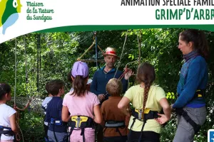 Spécial familles - Grimp'd'arbres - Dès 5 ans