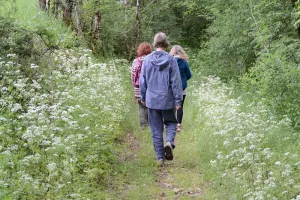 Randonnée à Saint-Jory-Las-Bloux  organisée par Les Pieds dans l’herbe.
