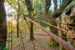 Promenade-découverte au jardin d'hélys-oeuvre