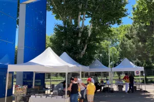 La braderie des musées arlésiens  - 5e édition