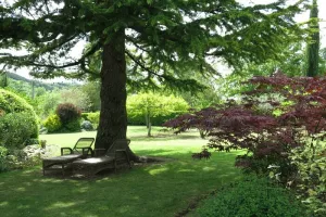 Visite guidée du jardin de Théonine