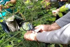 Détective en herbe, Île de Vassivière