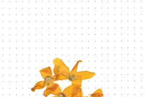 Exposition de Socheata CANTO-AING, "clarifie le coeur disperse le feu"