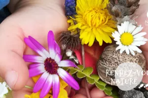 17/05 - Créer avec la nature : une aventure Land’Art