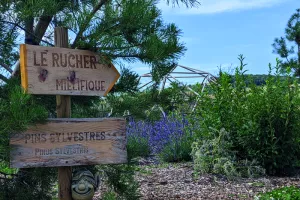 Visite libre du jardin de la ferme mielifique