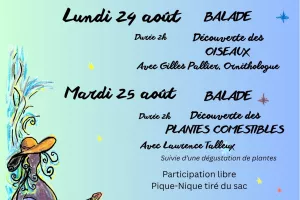 Balade autour des oiseaux