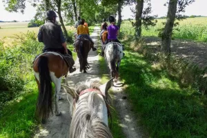 Balade à poney