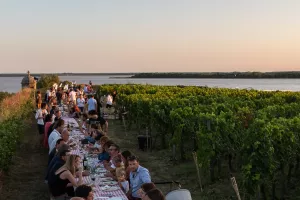 Dîner dans les vignes de la Citadelle