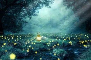 Les nuits des forêts