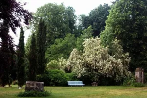 Visite commentée d'un jardin-arboretum en Périgord vert