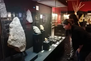 Visite commentée : La collection Préhistoire du musée