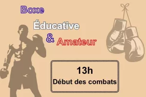 Gala de boxe anglaise