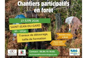 Les chantiers participatifs en forêt font leur grand retour !