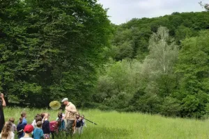 Sur la piste des abeilles sauvages