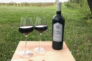 Les barbecues vignerons au Château Moulin de la Marzelle