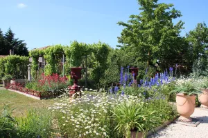 Rendez-vous aux Jardins  - Jardin de Riparfonds