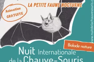 Nuit internationale de la chauve-souris