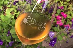Pinot & Sono
