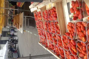 Marché