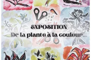 De la plante à la couleur