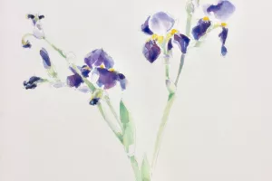 Exposition Peintures & Dessins de Marie-Sophie Mejan