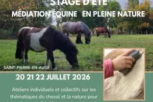Stage d'été médiation équine en plein nature