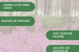 A la découverte des plantes sauvages, médicinales et comestibles avec Francine