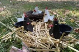 OPEN ÉCOMUSÉE | Atelier conception de Cocottes en boîtes d'œufs avec Gaëlle