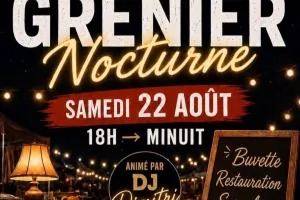 Vide-greniers nocture