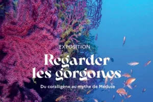 Visite de l'exposition        « Regarder les gorgones » Du coralligène au mythe de Méduse - jardin marin