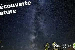 Découvertes Sologne Nature - Nuage d'étoiles